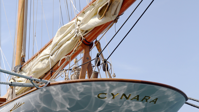 写真：シナーラ