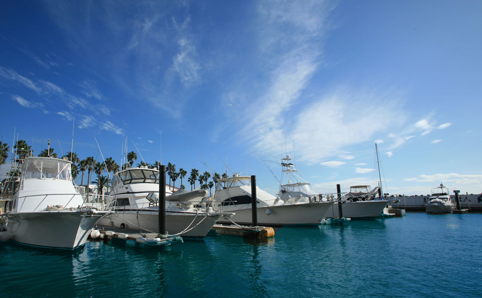 写真:リビエラ逗子マリーナ