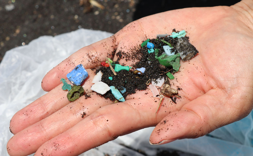 写真：小さく砕かれた無数のマイクロプラスチック