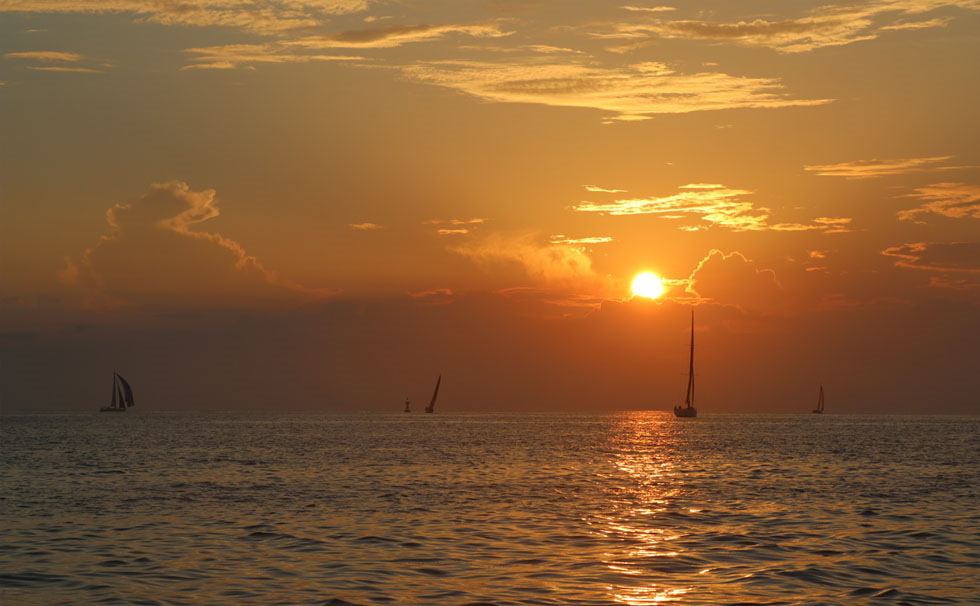 写真：Trans-Sagami