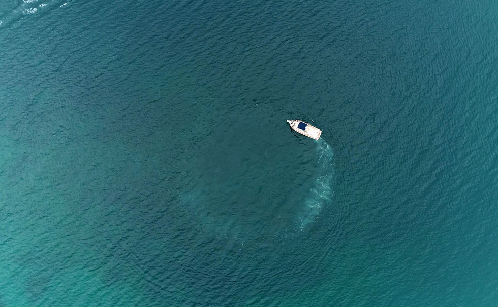 写真：新たな旅立ち