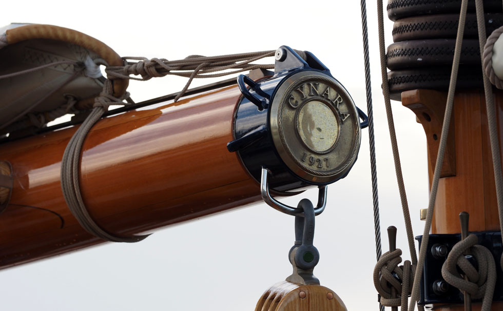 写真：ｼﾅｰﾗ