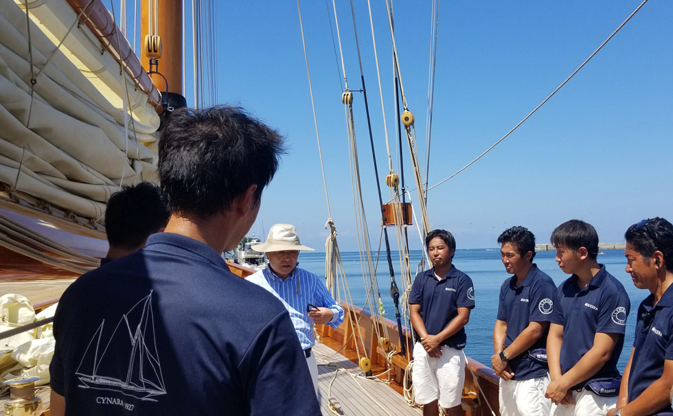 写真：ｼﾅｰﾗ