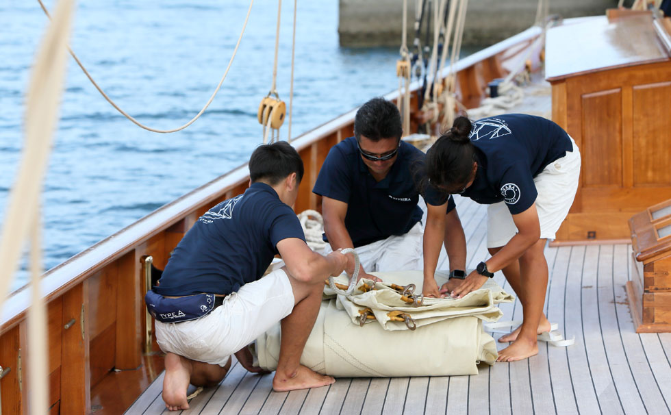 写真：ｼﾅｰﾗ