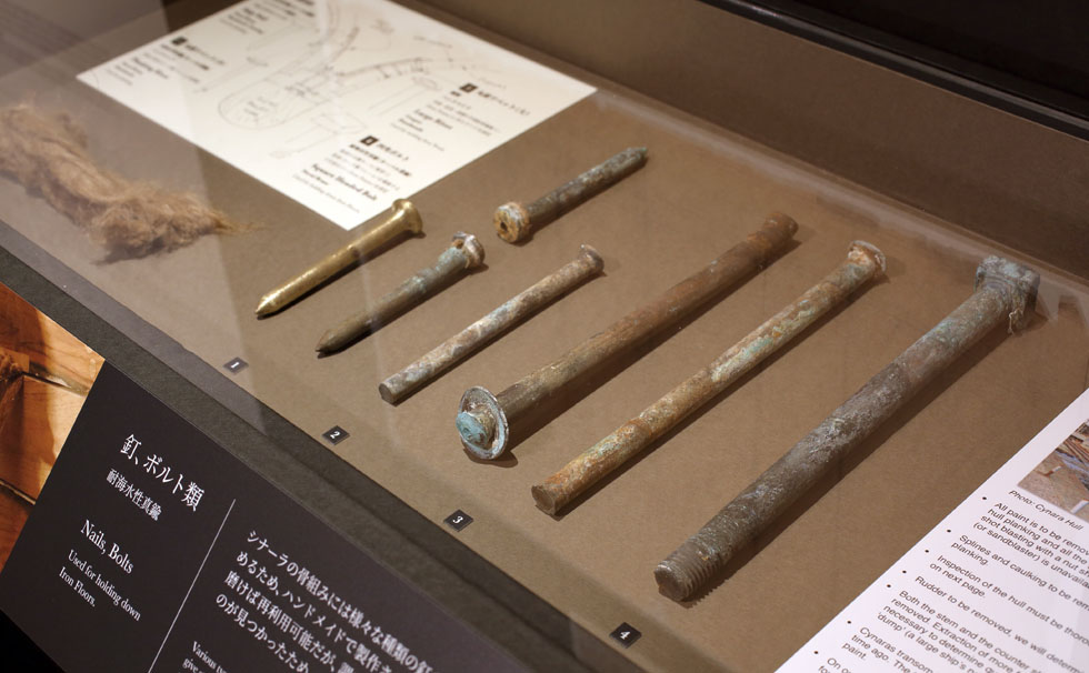 写真：ｼﾅｰﾗ　ミュージアム