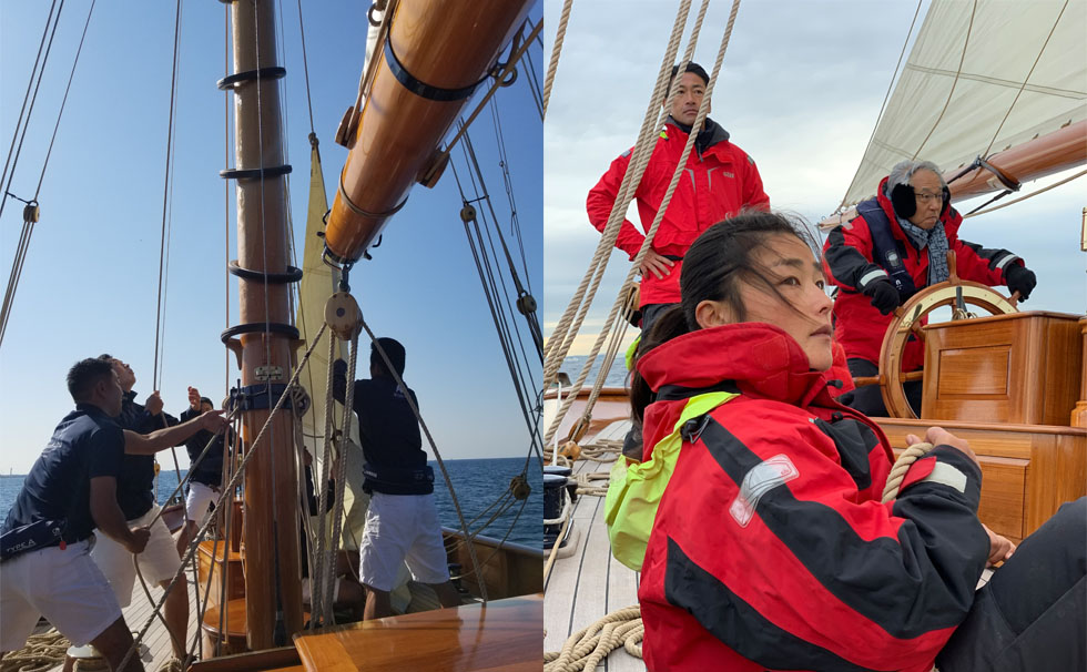 写真：ｼﾅｰﾗ