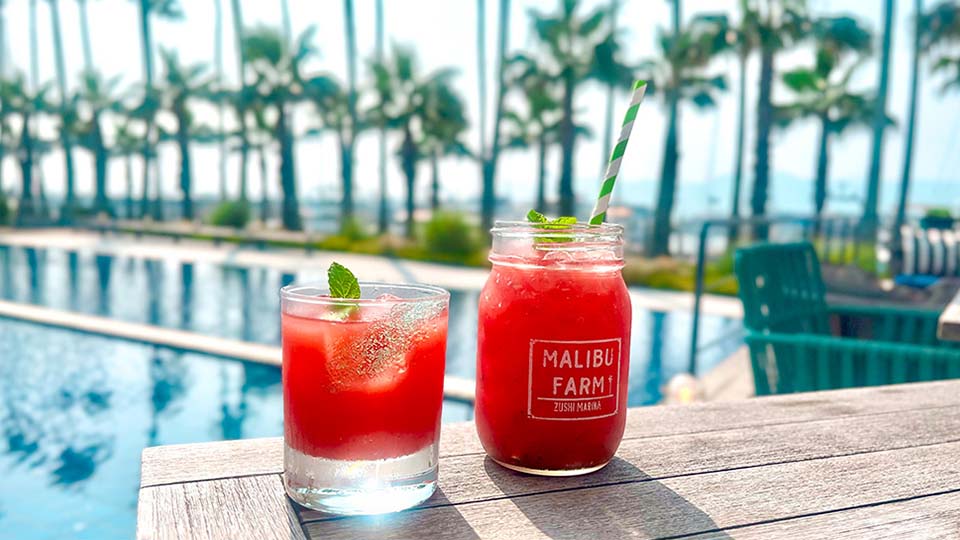 写真：マリブファーム期間限定ドリンク