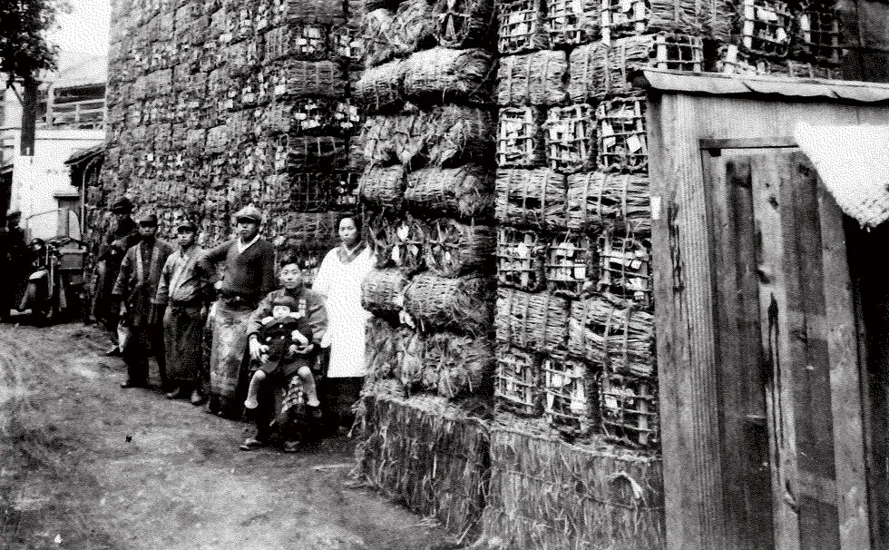 写真：薪炭問屋 「福島屋」