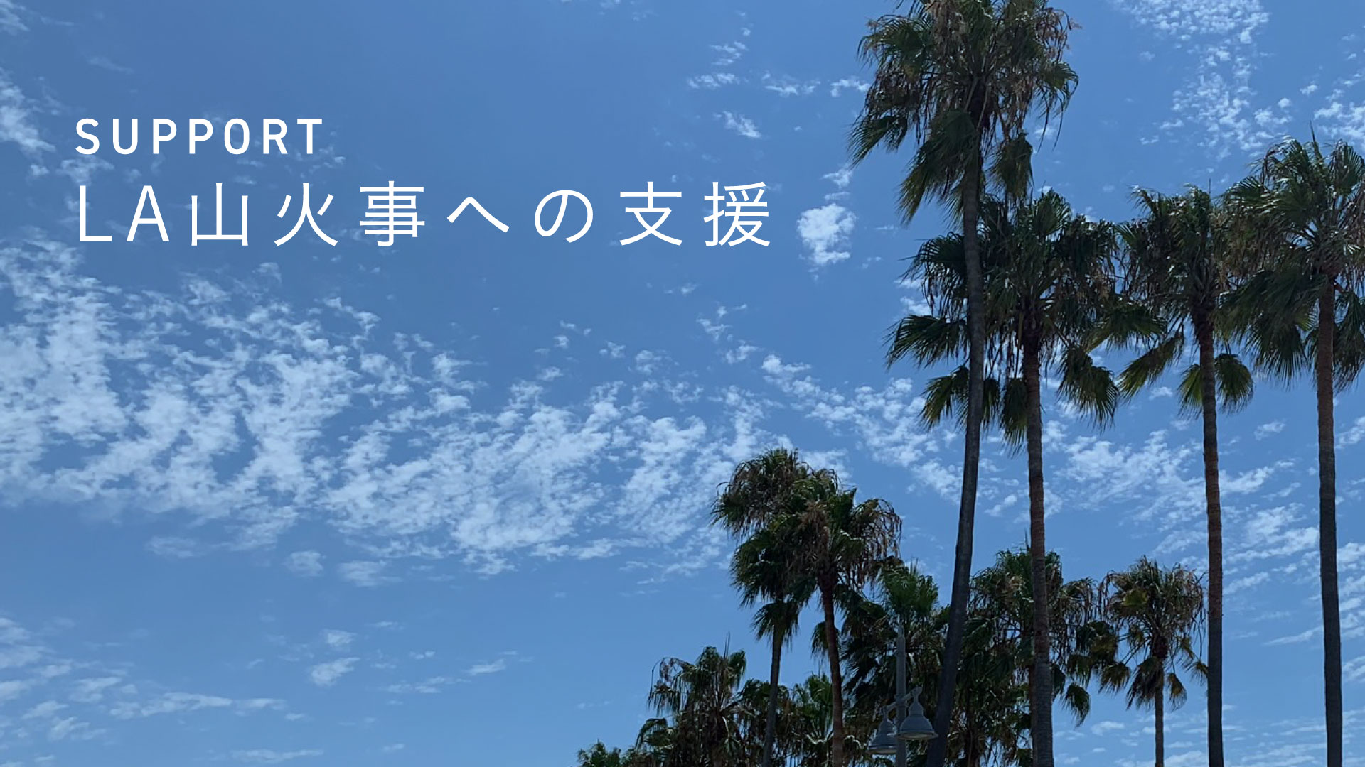 NPO法人_リビエラ未来創りプロジェクト_LA山火事への寄付