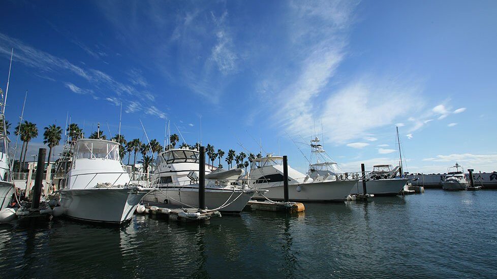 写真：逗子ハーバー 係留写真