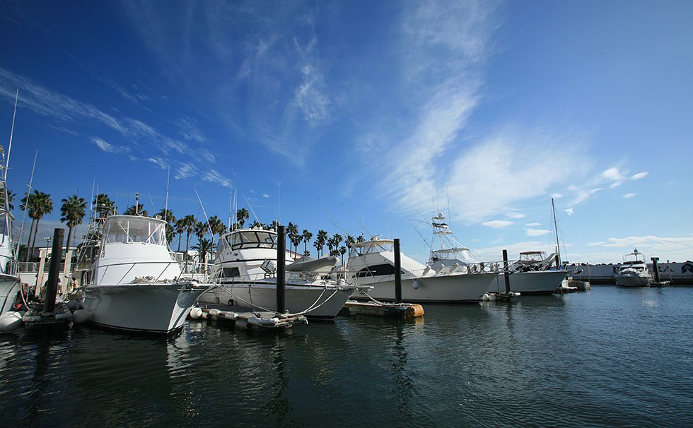 写真：逗子ハーバー 係留写真