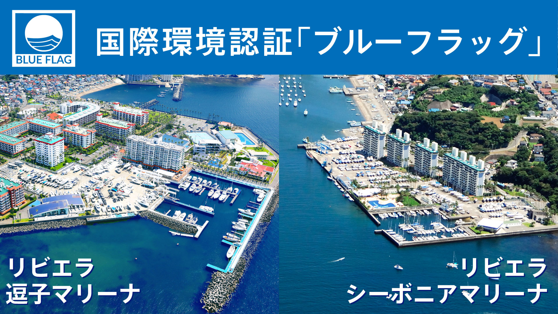 画像:ブルーフラッグ