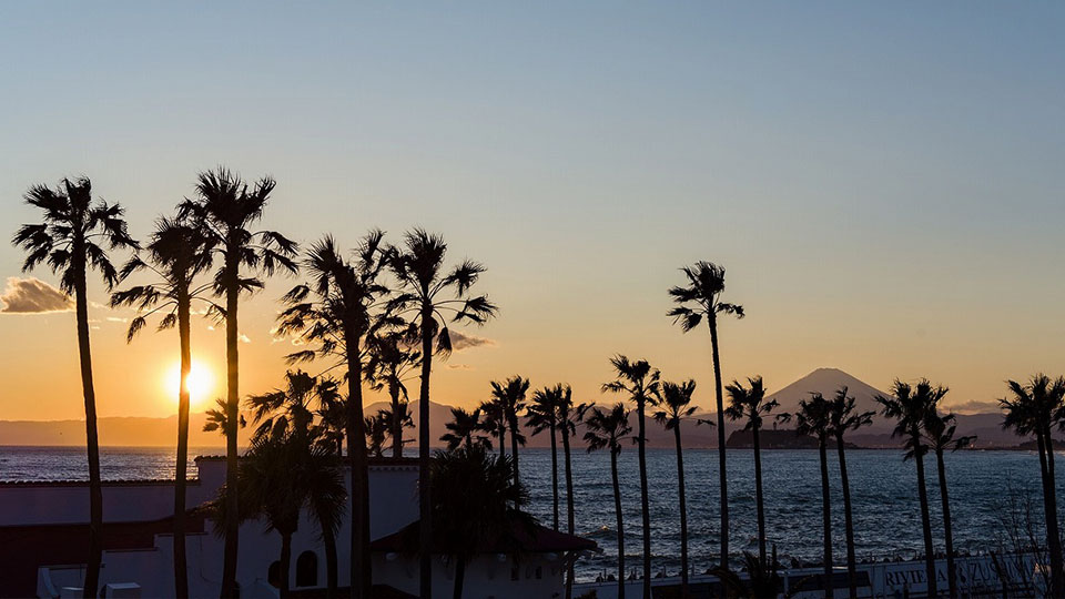 写真：クリスマスコース