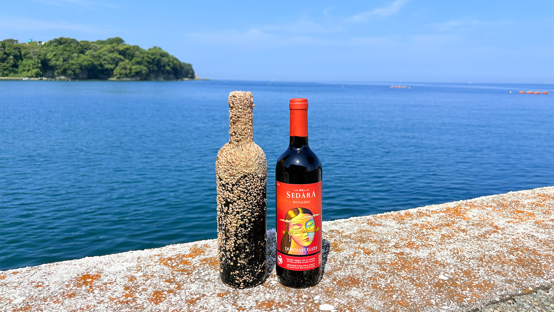 画像：海底ワイン 赤